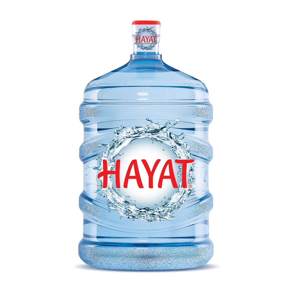 19 LT HAYAT SU